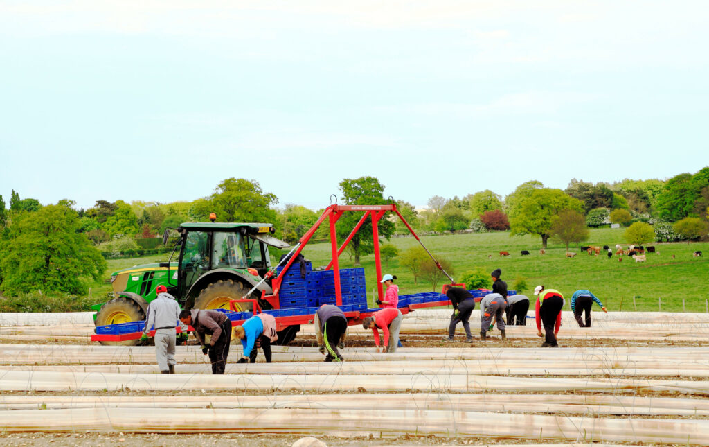 Immigrant casual agricultural labourers