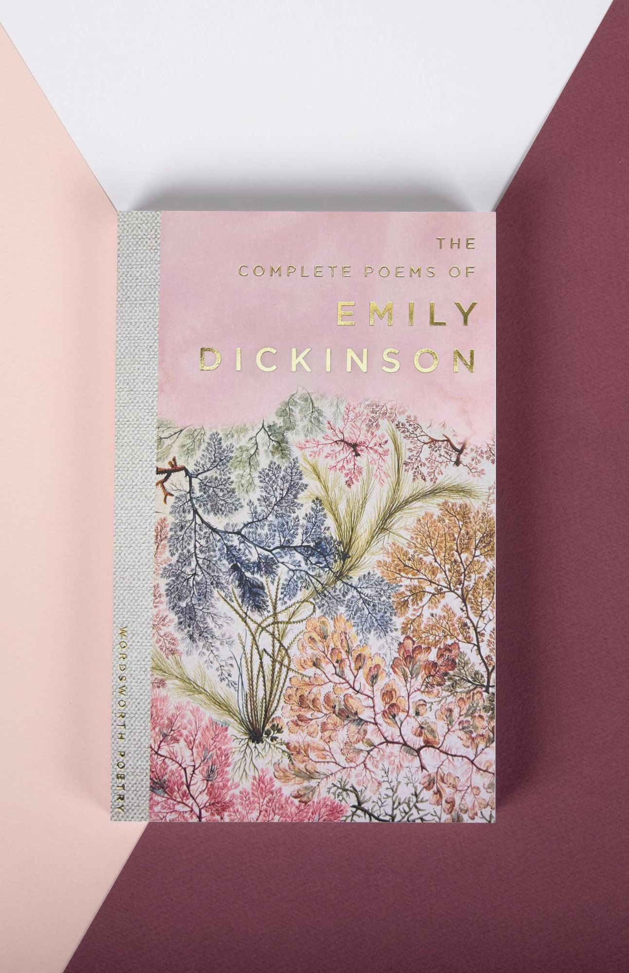 Emily Dickinson Poetry 9781853264191